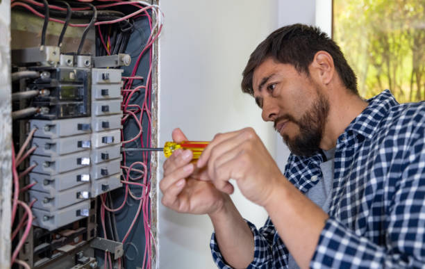 Best Electric Panel Repair  in Jasper, TX